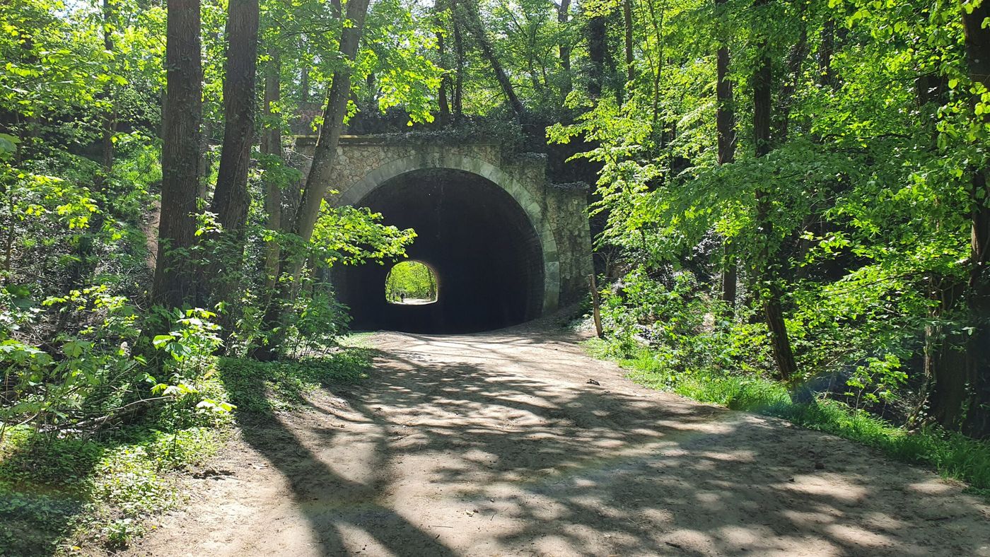Chemin à travers la forêt durant la randonnée