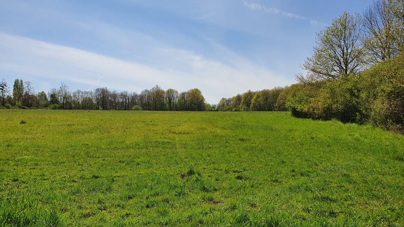 Chemin de randonnée en forêt près de Gif-sur-Yvette