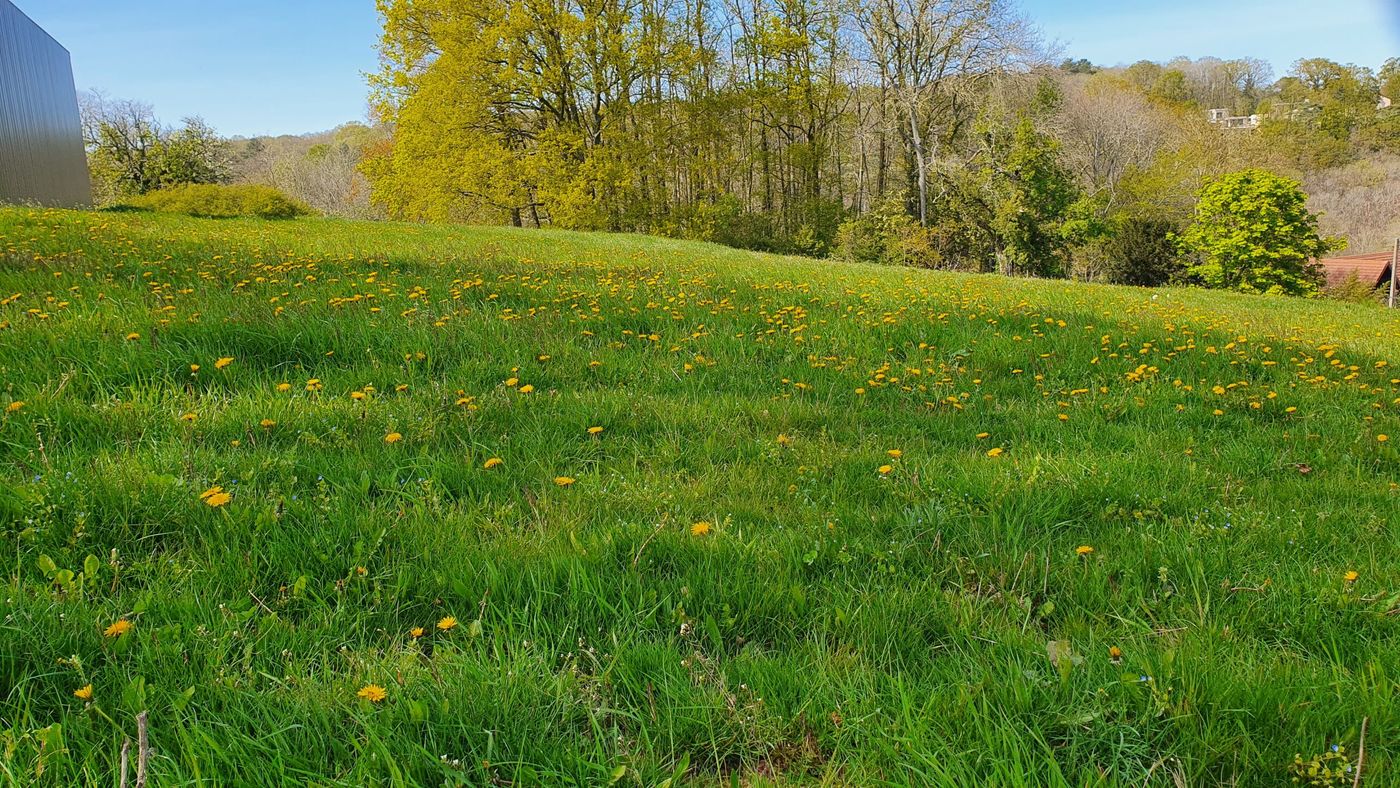 Chemin de retour durant la randonnée