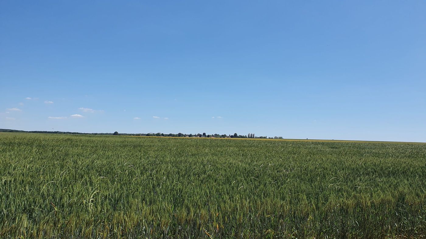 Chevreuse randonnée