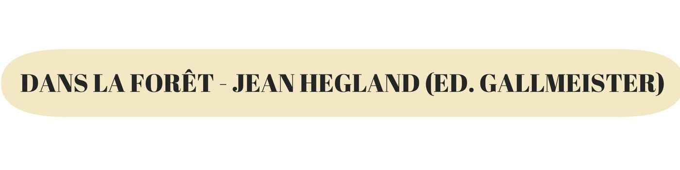 Couverture du livre 'Dans la forêt' de Jean Hegland