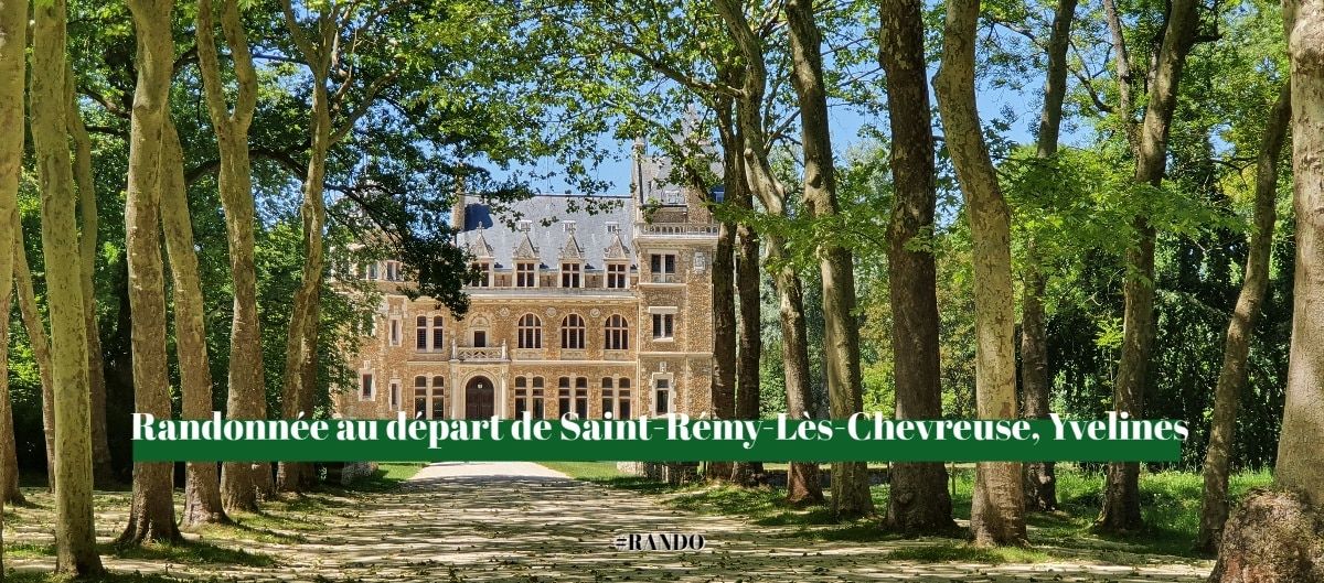 Château au bout d'une allée bordée de grands platanes, sous un ciel bleu