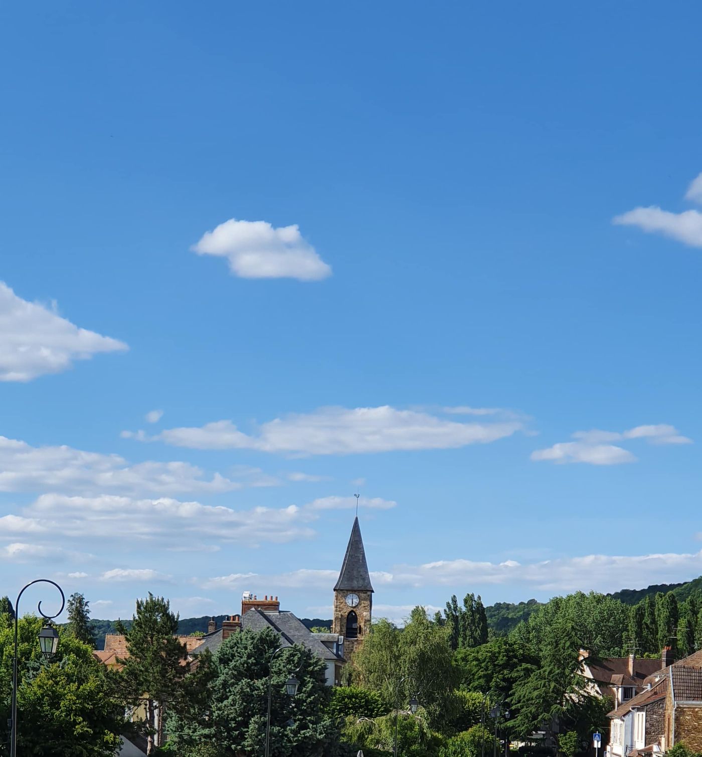 Forêt de Chevreuse