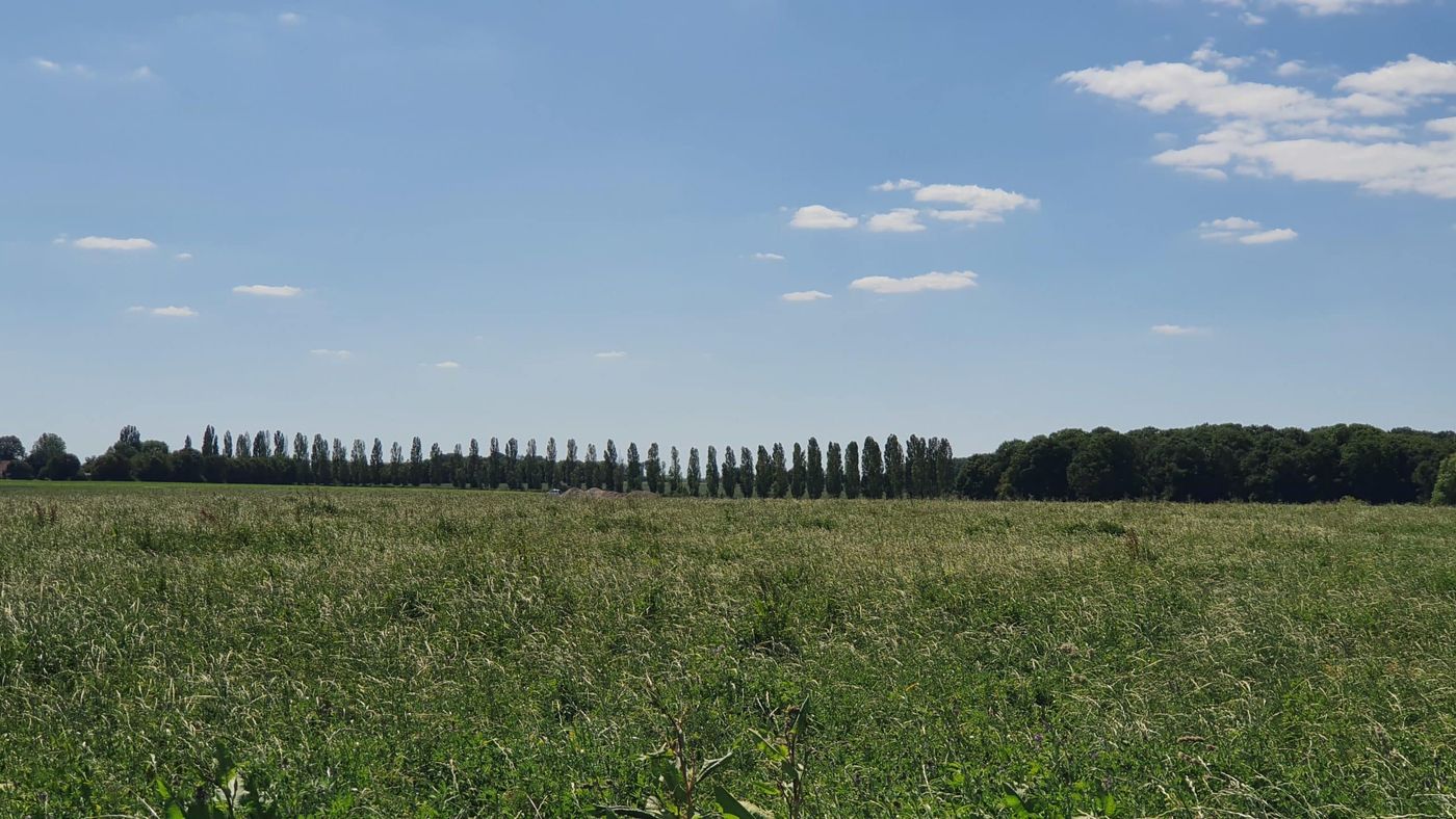 Paysage boisé de la randonnée