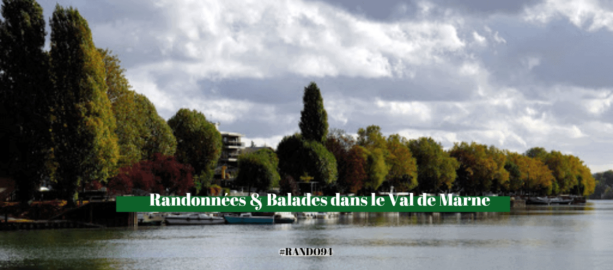 Bords de Marne bordés d'arbres aux couleurs d'automne avec des bateaux amarrés sous un ciel nuageux