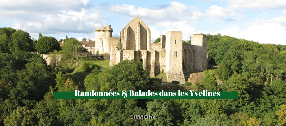 Ruines d'un château médiéval en pierre sur une colline boisée dans les Yvelines