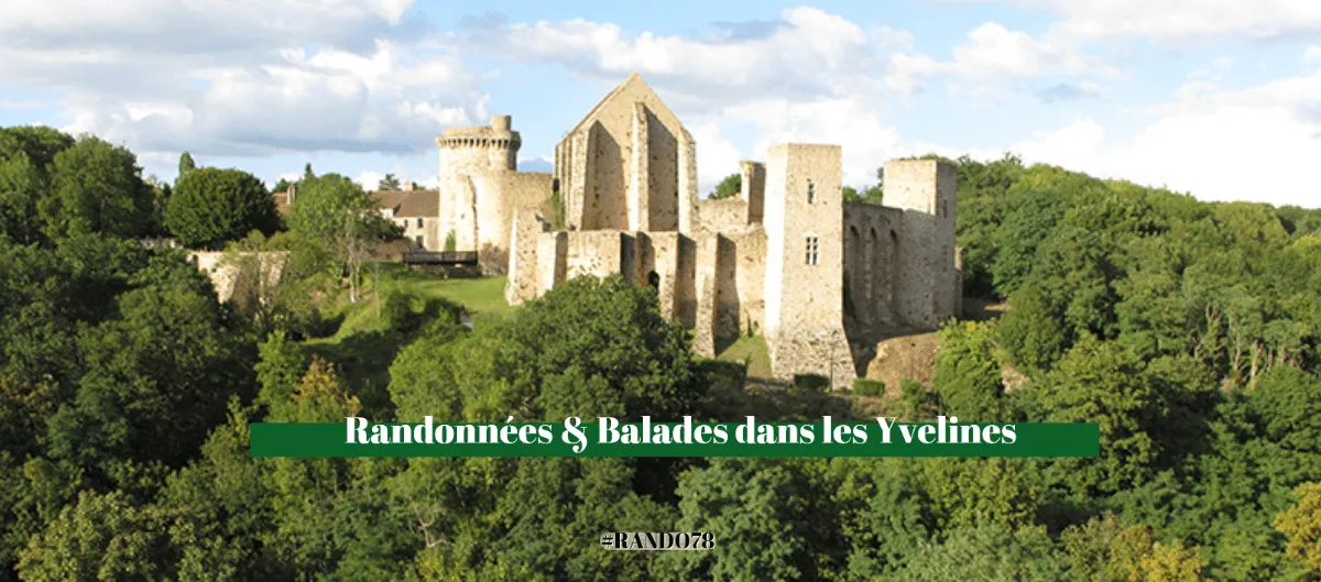 Ruines d'un château médiéval en pierre sur une colline boisée dans les Yvelines