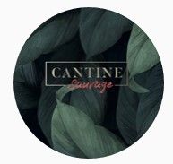 Cantine Sauvage logo