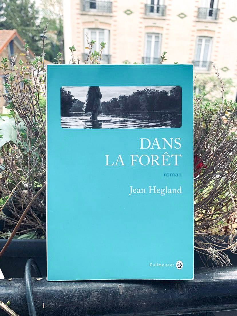 Critique littéraire et idées lecture