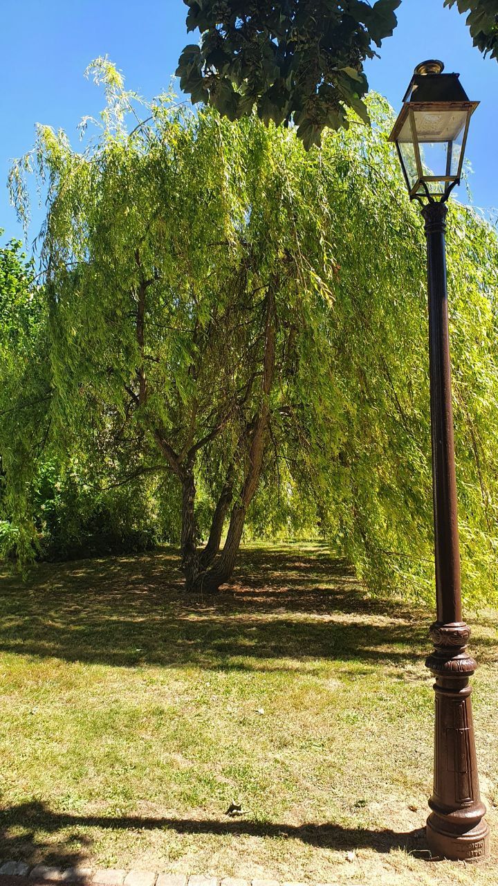 Parc de la Mairie de Roissy