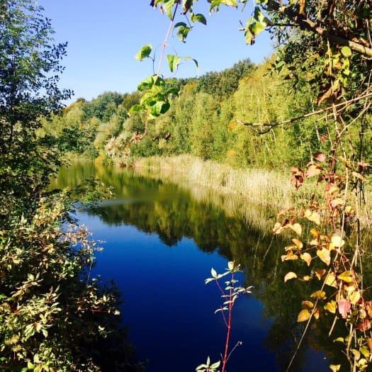 Forêt régionale de Bondy