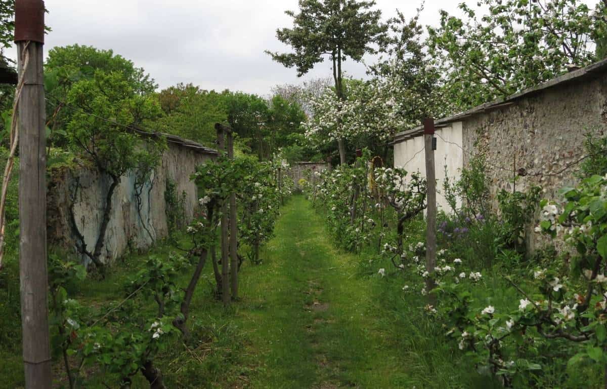 Les murs à pêches de Montreuil