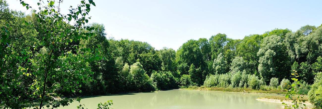 Forêt de Carnelle