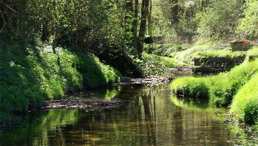 Parc naturel de la Haute Vallée de Chevreuse